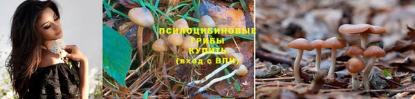 mdpv Балабаново
