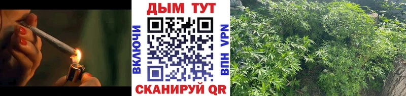 Бошки марихуана сатива  KRAKEN зеркало  Янаул 